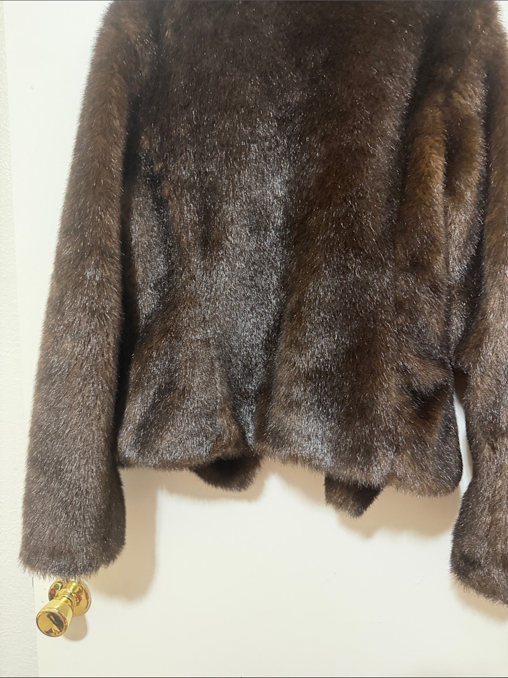 Women Jacket Subcategory Classification - Picture 4 of 5